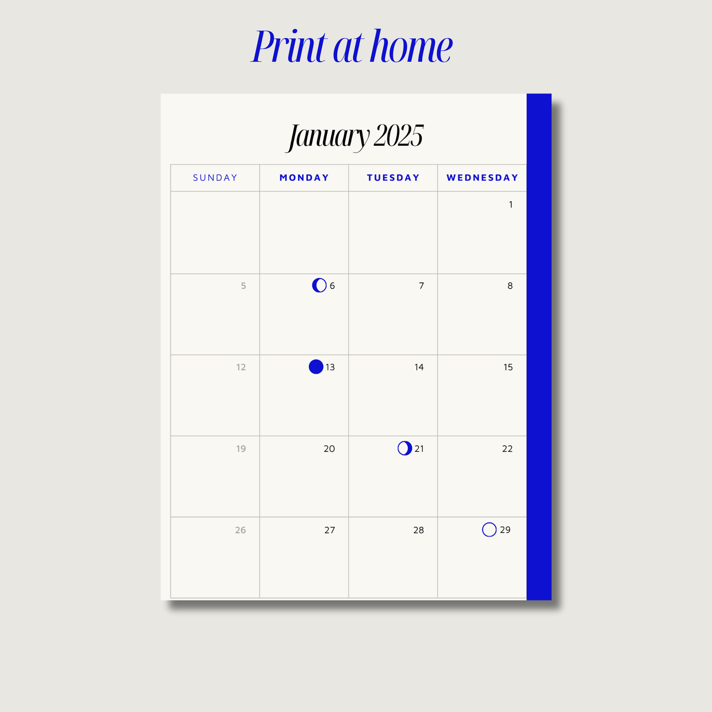 Digital Make it Happen Planner (print at home)